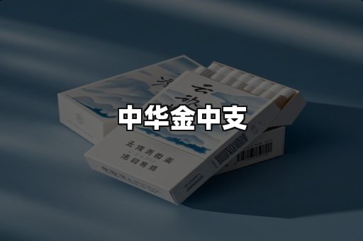 中华金中支